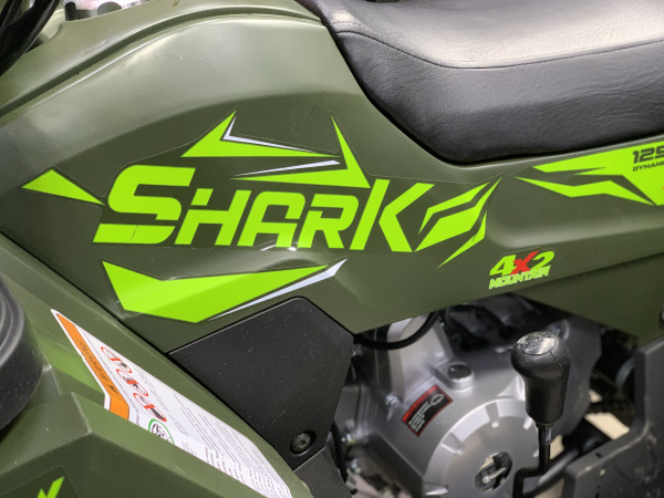Квадроцикл детский Zuumav (Зуумав) SHARK 125 PRO зелёный (машинокомплект) - купить с доставкой, цены в интернет-магазине Мототека